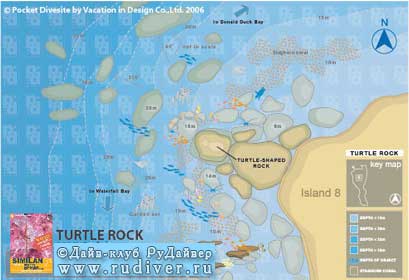  Дайвинг Пхукет Таиланд – дайв-сафари Симиланы - дайв-сайт Дайв-сайт Turtle Rock (Тёртл Рок / «Черепашья скала»)
